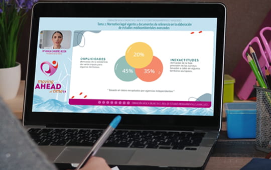 Servicios de gestión para el sector Servicios